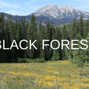 Black Forest, Colorado